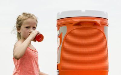 Nutrition for Champions: Fuel Up for the Cup!