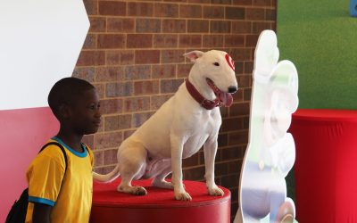 Bullseye at Target USA CUP!